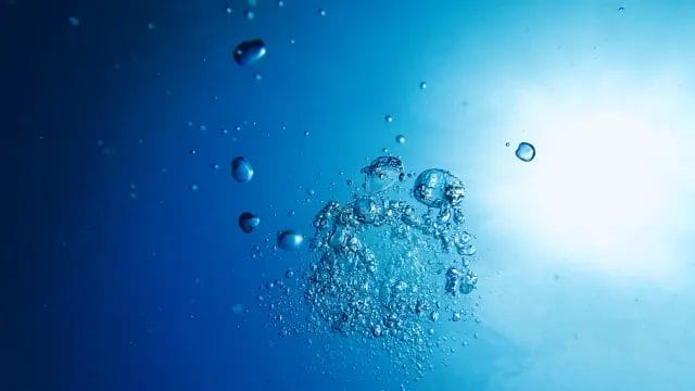 水中酸素|高水温期のデイゲームで海水・汽水域で釣りを楽しむ方法