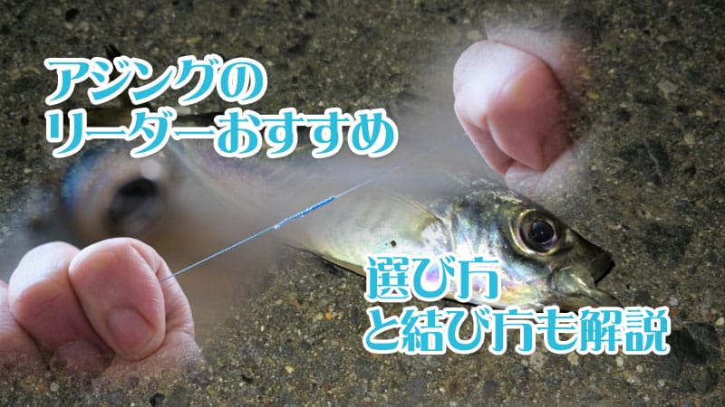 アジング,リーダー,おすすめ,結び方
