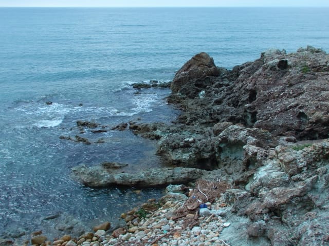 磯｜アジング、ポイント