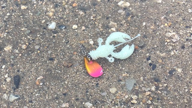 ボトムバンプ|チニング、デイゲーム、リアクションバイト