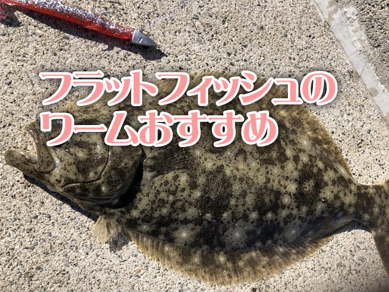 フラットフィッシュ、ワーム、おすすめ