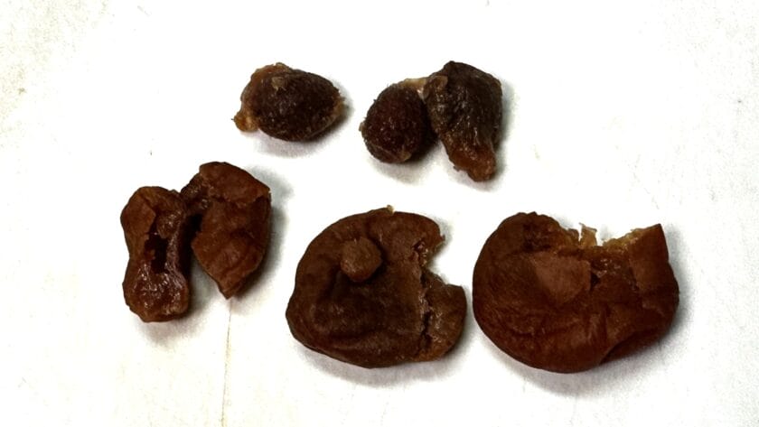 梅干しの種抜き|釣り魚の梅照り煮,レシピ,釣果メシ