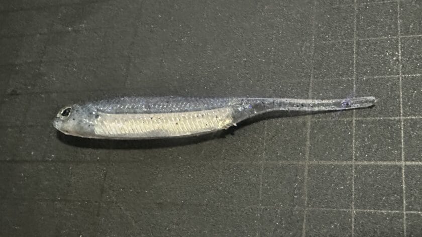 ピンテール、ワームの種類|シーバス,ワーム,おすすめ