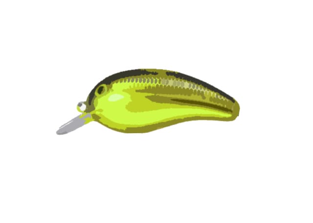 ラウンドタイプ、選び方｜バス釣り、クランクベイト、おすすめ