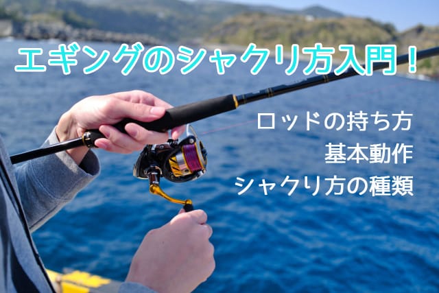 エギングのシャクリ方