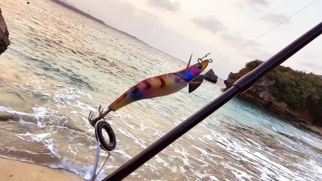 ランガン｜昼間,エギング,デイエギング,釣り方,エギ