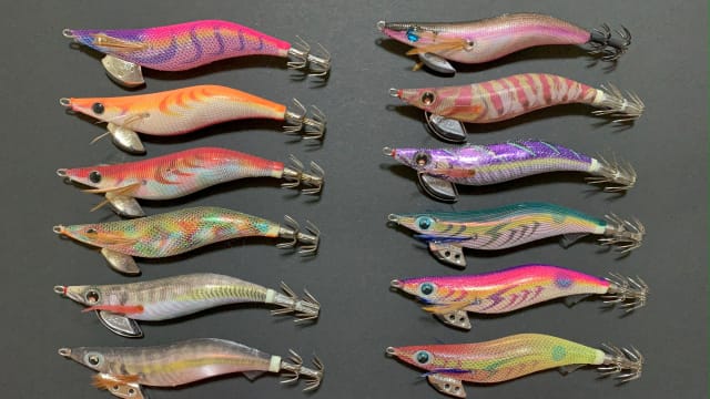 昼間,カラー,エギ,おすすめ｜昼間,エギング,デイエギング,釣り方