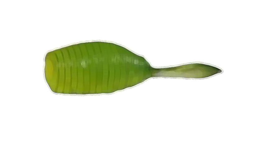 ファットタイプ｜アジングワームのテールの種類と使い分け方