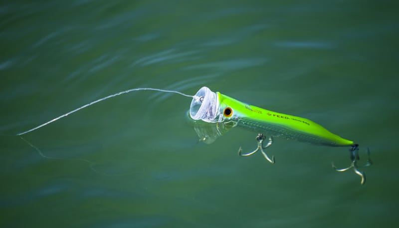 操作性を上げるコツ｜青物を狙うポッパーの動かし方