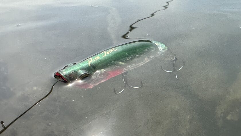 浮き姿勢｜ライズジョイント,インプレ,シマノ,ポッパー