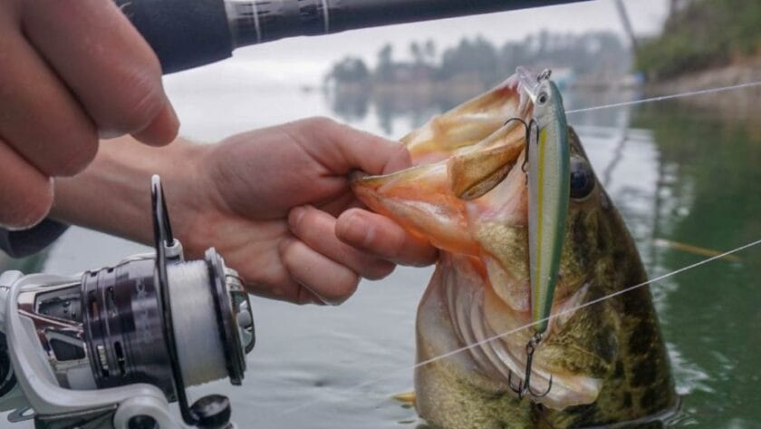 種類とポンド｜バス釣り,スピニング,,ライン,選び方