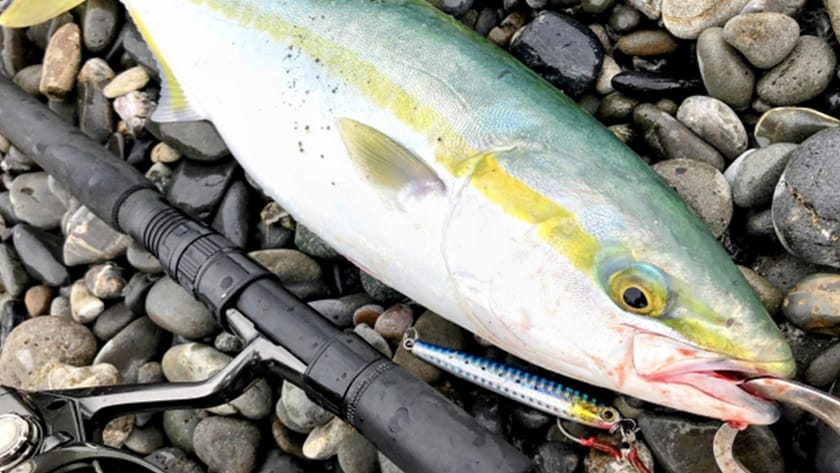 大型青物ジギング&キャスティングゲームのリーダーの太さ(号数)｜PEとリーダーの太さ(号数)一覧