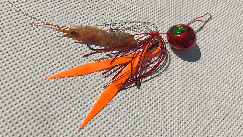 エビラバとは|エビラバ,使い方,釣り方