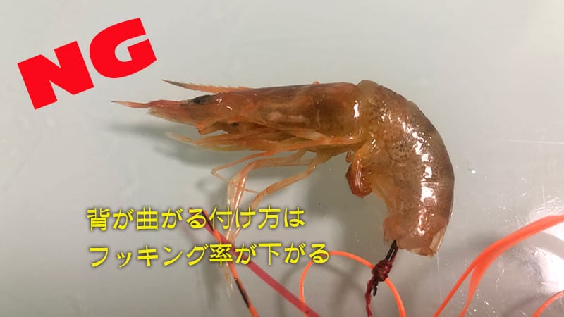 ダメな付け方|エビラバ,使い方,釣り方