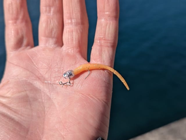 ジグ単とは｜アジング,ジグ単,重さ,選び方,アクション,使い方