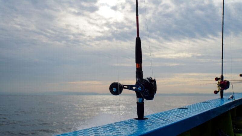 特徴｜イカメタル,ロッド,おすすめ