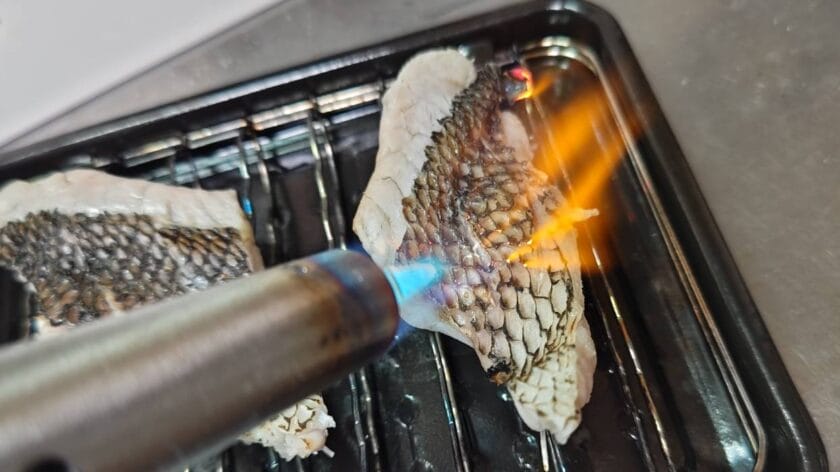 皮目に焼き色をつける｜白身魚の酸菜魚のつくり方,レシピ,釣果メシ