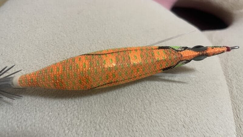 背中の色｜エギの色の違いと使い分け方