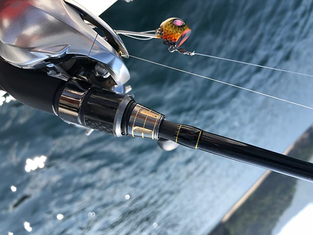 代用できるロッド｜イカメタル,ロッド,おすすめ