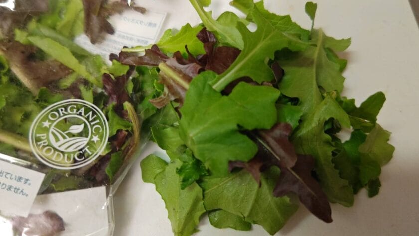 リーフレタス｜タンドリーフィッシュのサラダライスボウル,釣果メシ