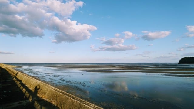 干潟｜シーバス,ルアー,初心者,釣り方