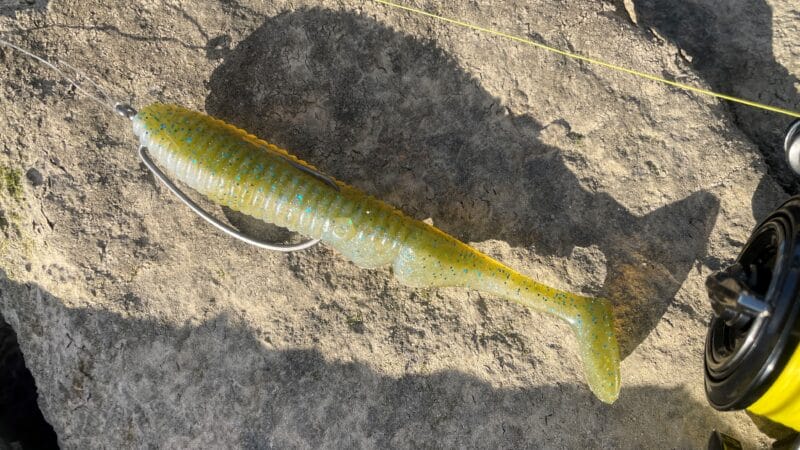 シャッドテール｜ノーシンカー,使い方,釣り方