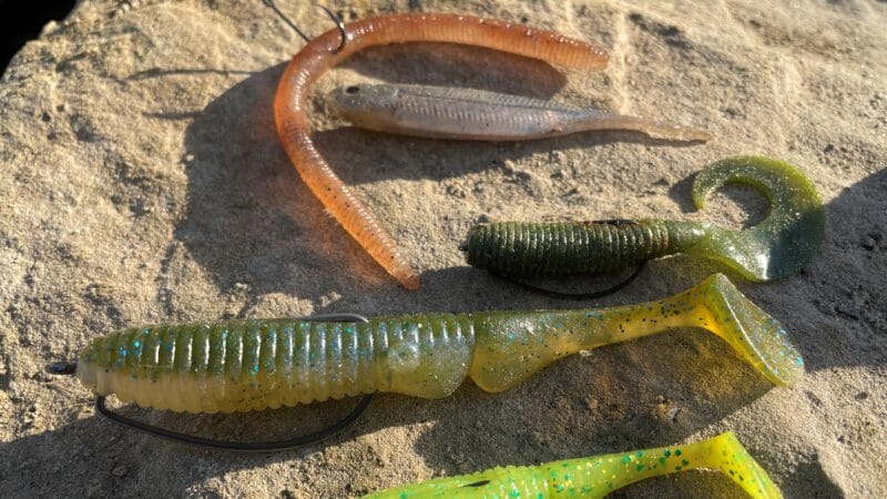 ノーシンカーとは｜ノーシンカー,使い方,釣り方