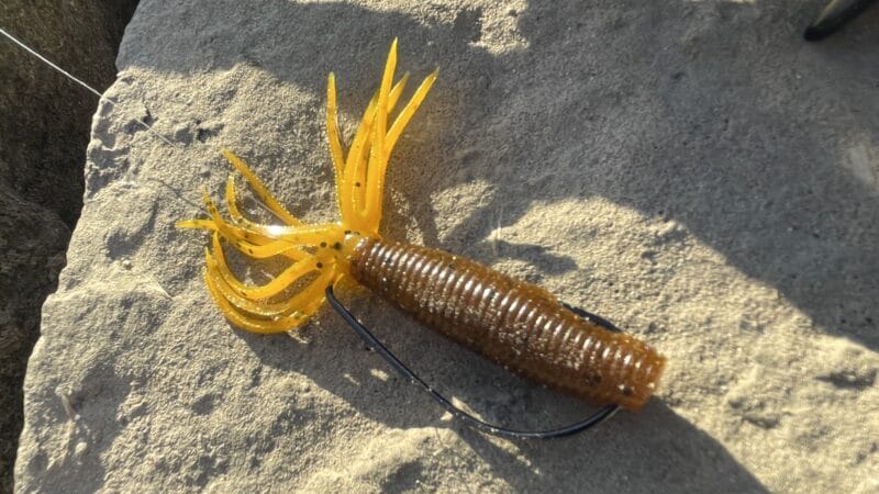 バックスライド,種類｜ノーシンカー,ワーム,おすすめ