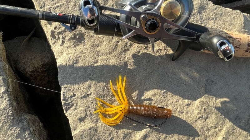 バックスライド｜ノーシンカー,使い方,釣り方