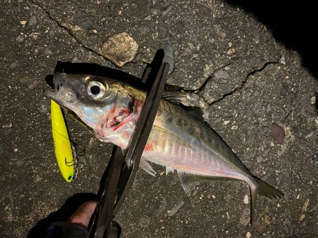 使うメリットとデメリット|アジング,プラグルアー,おすすめ