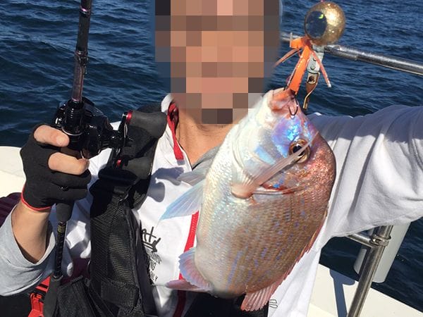 秋の真鯛の特徴|秋,タイラバ,釣り方