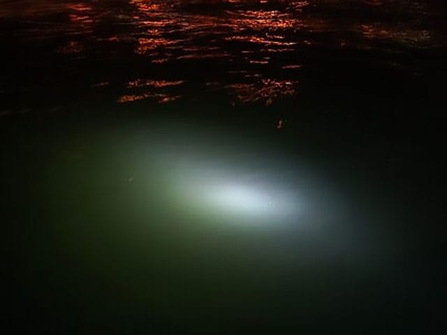 足元の手前から|アジング,夜,ナイトゲーム,釣り方