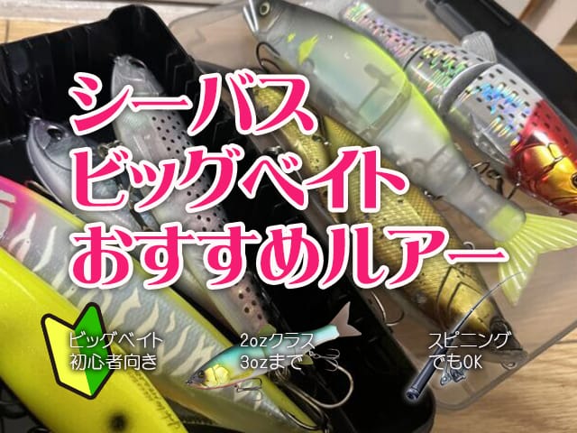 シーバスビッグベイト,ルアー,おすすめ,初心者