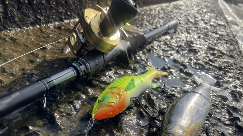 リール|シーバス,ビッグベイト,タックル,選び方