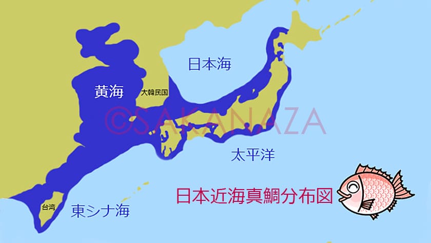 生息分布図|真鯛の生態と習性