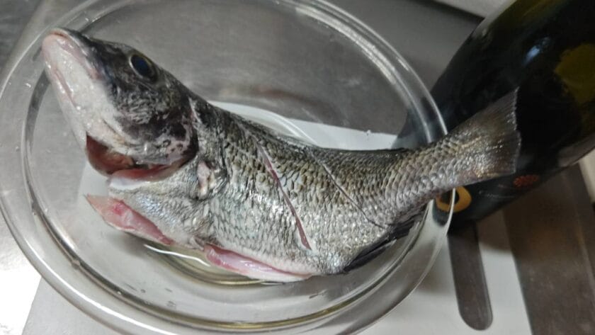 白ワインで洗う|チヌの丸ごとグリル,釣果メシ