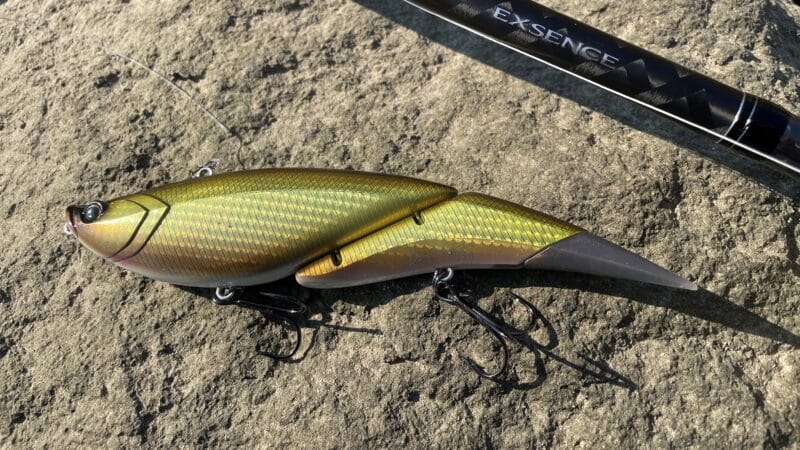 ダヴィンチ190試投｜エクスセンス ジェノス b80h,インプレ,ビッグベイト,ベイトロッド