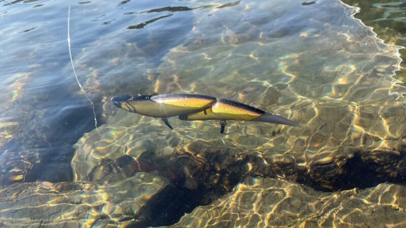 浮きスピード|ダヴィンチ190,インプレ