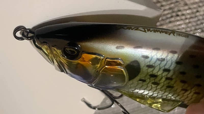 フロントアイのリング|ダウズスイマー180,インプレ,人気カラー,使い方