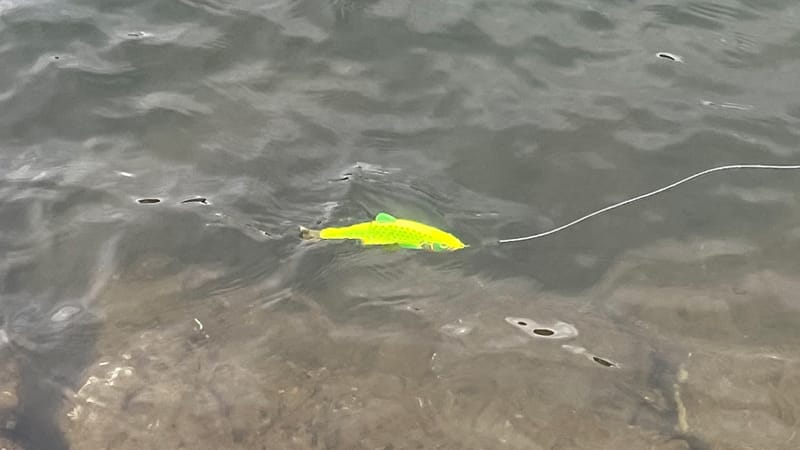 スイムアクション|ダウズスイマー180,インプレ,人気カラー,使い方