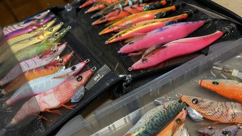 エギケースを持つことのメリット｜エギケース,おすすめ,メイホウ,ヤマシタ