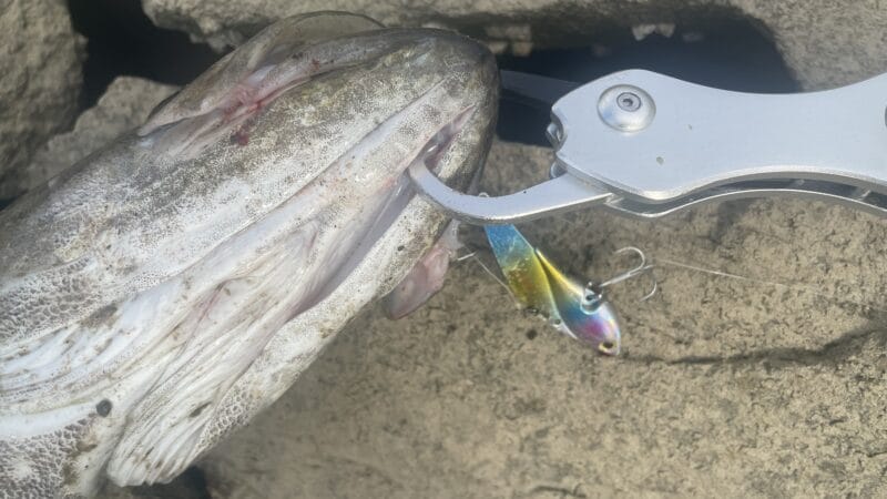 弱点｜メタルマスター、インプレ