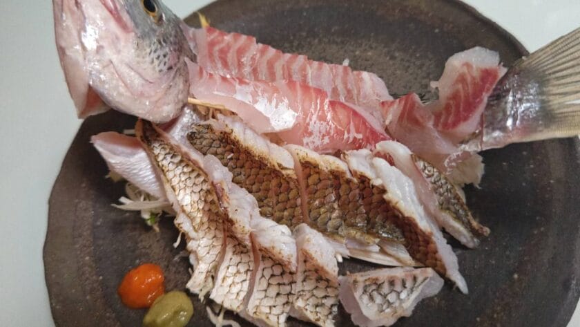 キビレの熟成刺身2種