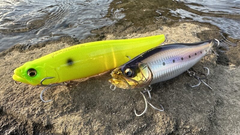 デザイン｜メガドッグ180,インプレ