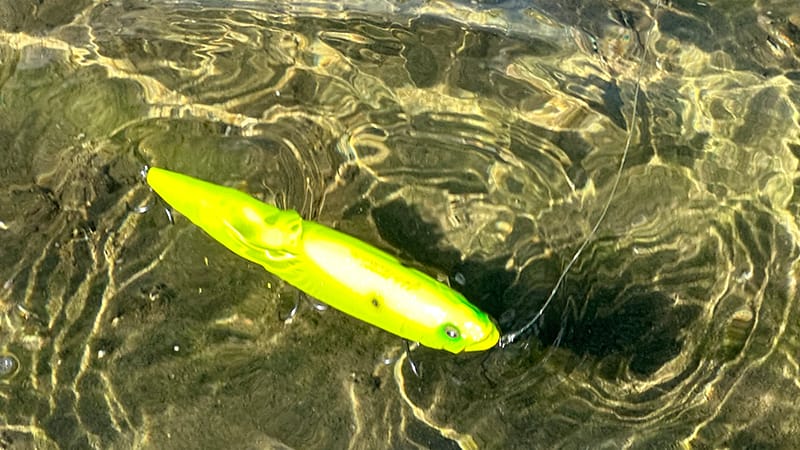 ドッグウォーク｜メガドッグ180,インプレ