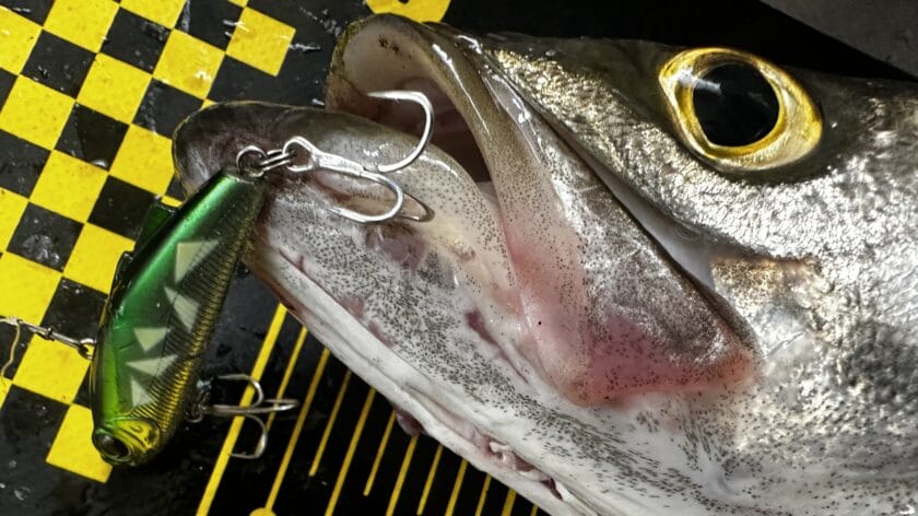 インプレ|ミニエント57S,,使い方