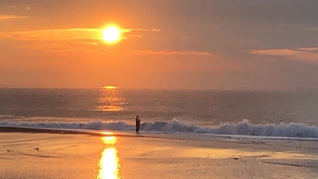 コツ、朝夕のマズメ｜秋,フラットフィッシュ,攻略,釣り方