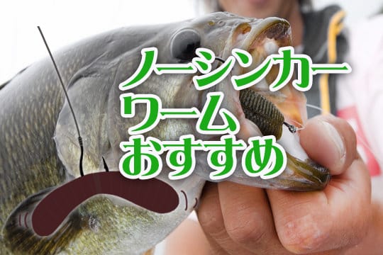 ノーシンカー,ワーム,おすすめ