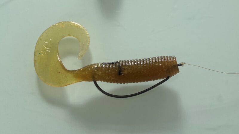 グラブ系,種類｜ノーシンカー,ワーム,おすすめ