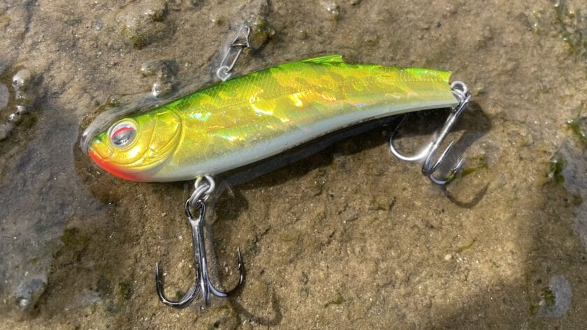 レンジバイブの特徴